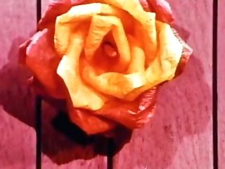 Dirty Fantasy (fallen Pie) - 46 Fresh Empire By Foxie2k