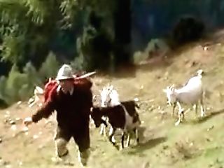 Fuckfest Comedy Hilarious German Antique Nine