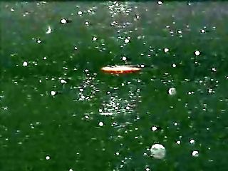 Bizarre Highlights Trio