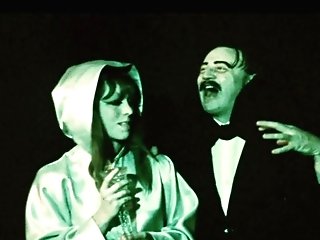 The Mad Love Life Of A Hot Vampire