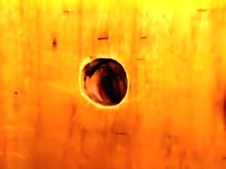 Geile Luder - Fuckfest Kontakt (03)