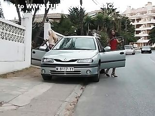 Global Heating Debutantes Four