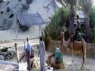 Macumba Sexual - 1983 (restored)