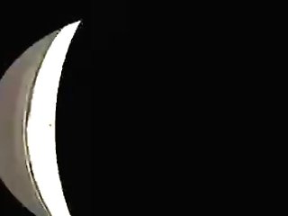 Brandy Alexandre - Custodial Gratitude Fuck.