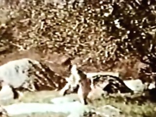 Retro Polkadot Sundress Ffn Seamed Stockings