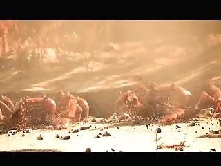 Sabinas First-ever Porno An Exhibitionist Street Whore