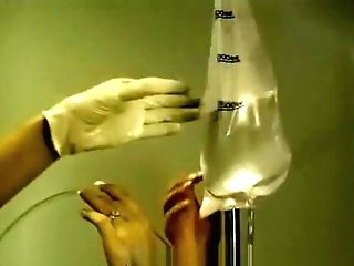 Unexperienced Honey Sucking Beef Whistle