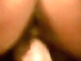 Peter North And Sahara Antique