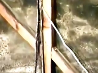 Teenage Sunset (1995)