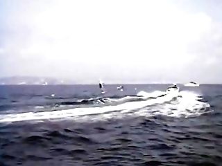 Quammifremas Mummies Poons