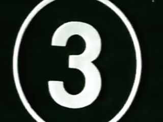 Christy Canyon Erica Boyer And Peter North