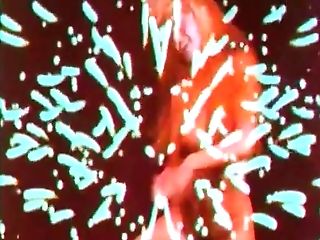 Ass Fucking Threesome Angelica Wild, Jane Darling