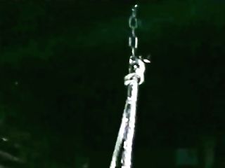 Daisy Lee, The Best Blonde In The World