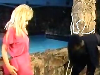 Hot Pink And Chocolate Dark-skinned