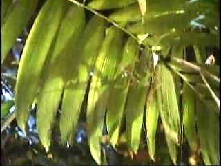 Interracial Pounding With Black Schlong Loving Dark-haired