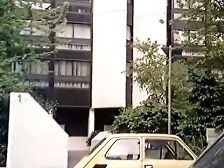 The Perverted Imaginations