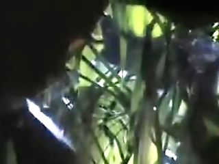 Veronica Zemanowa Solo