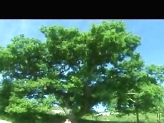 Stripper Nurses - All Starlet Cast Of Barely Legal