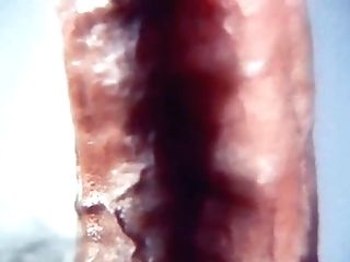 Japanese Femmes Sexy Dance On The Stage