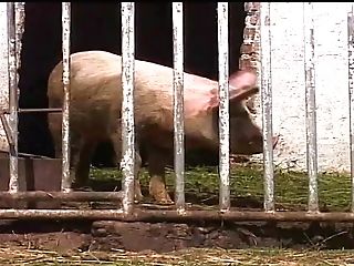 Exotic Xxx Scene Dark-haired Good , It's Amazing