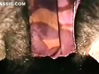 Hot Blonde Bj's A Big Lollipop - Julia Reaves