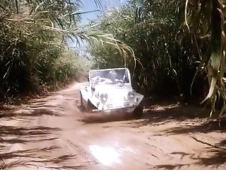 Die Madchen Von St. Tropez