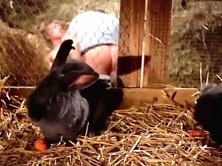 Virginia Felsom Clips Two